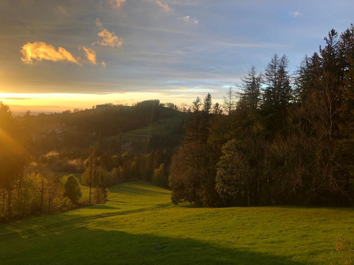 Hirschen Wald - Gasthaus & Baeckerei Esterno foto