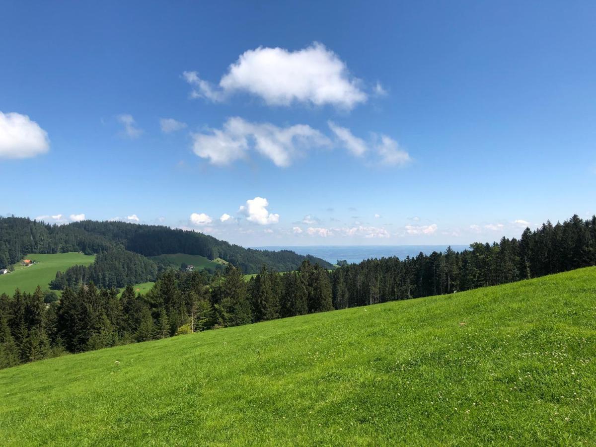 Hirschen Wald - Gasthaus & Baeckerei Esterno foto