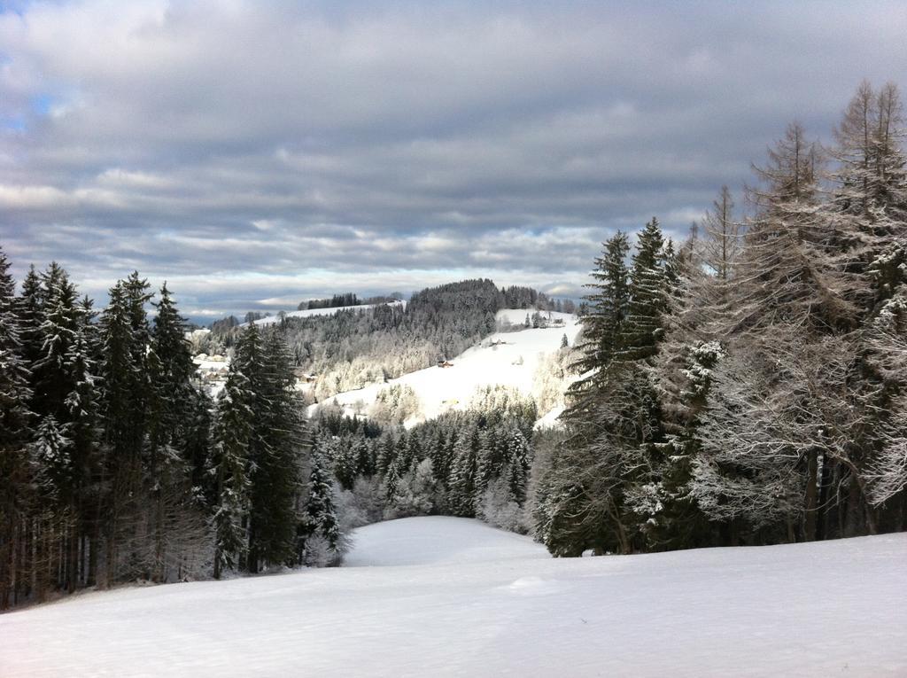 Hirschen Wald - Gasthaus & Baeckerei Esterno foto