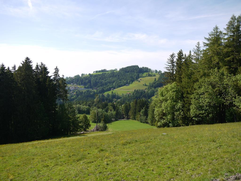 Hirschen Wald - Gasthaus & Baeckerei Esterno foto