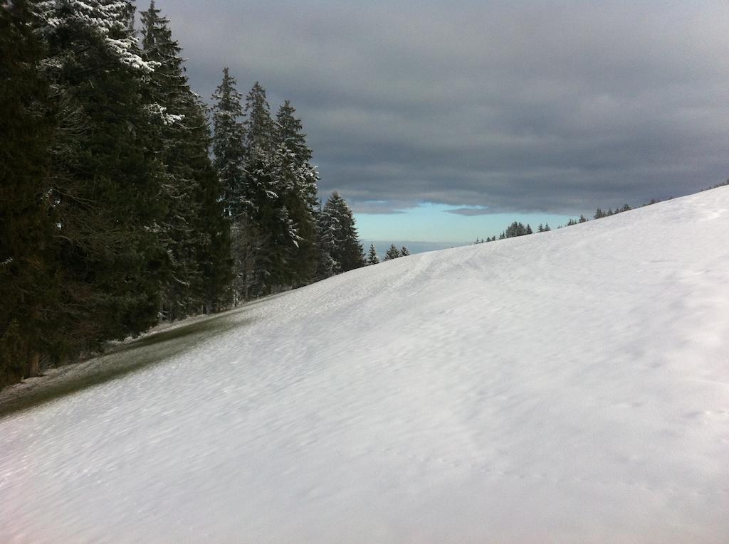 Hirschen Wald - Gasthaus & Baeckerei Esterno foto